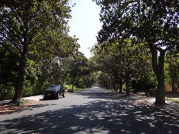 Palo Alto