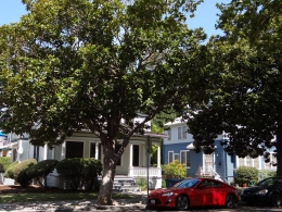 Palo Alto