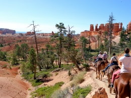 Horse riding