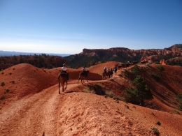 Horse riding