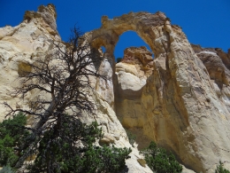 Grosvenor Arch