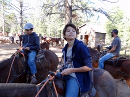 Horse riding