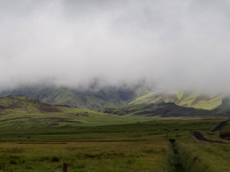 Vik