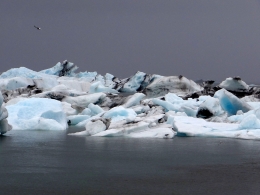 Lac Jökulsarlon