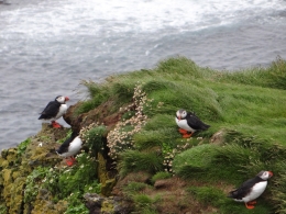 Latrabjarg
