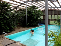 Piscine sous serre