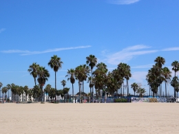 Venice