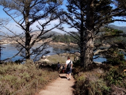 Point Lobos