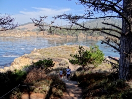 Point Lobos