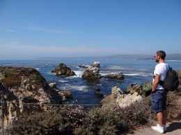 Point Lobos