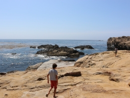 Point Lobos