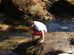 Point Lobos