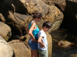 Point Lobos