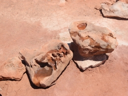 Dinosaur Tracks