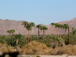 Rancho Mirage