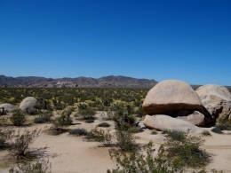 Joshua Tree National Park