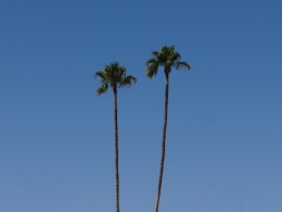 Palm Springs - Maison de Franck Sinatra