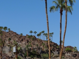 Palm Springs