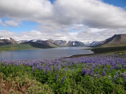Dyrarfjördur