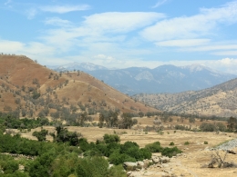 Sequoia Park