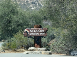 Sequoia Park