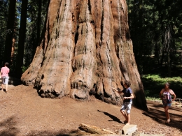 Sequoia Park