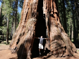 Sequoia Park