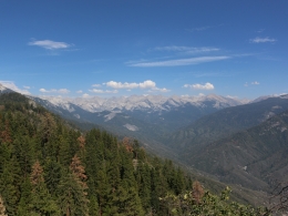 Sequoia Park
