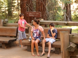 Sequoia Park