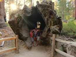 Sequoia Park