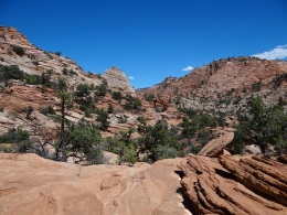 Zion Canyon